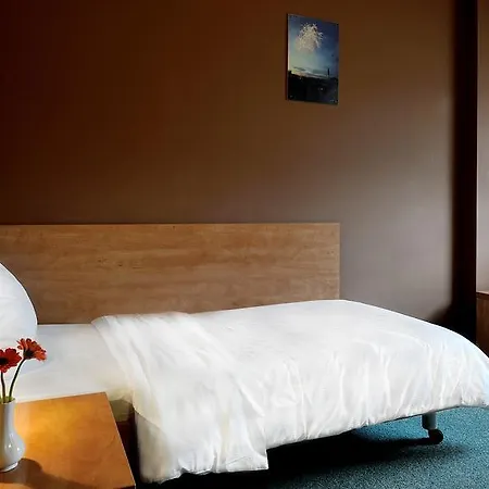 Hotel Diament Stadion Katowice - Chorzow 2*